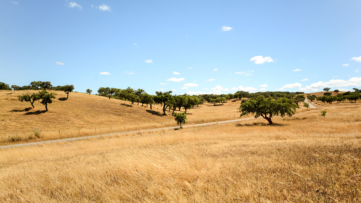 descobrindo Alentejo